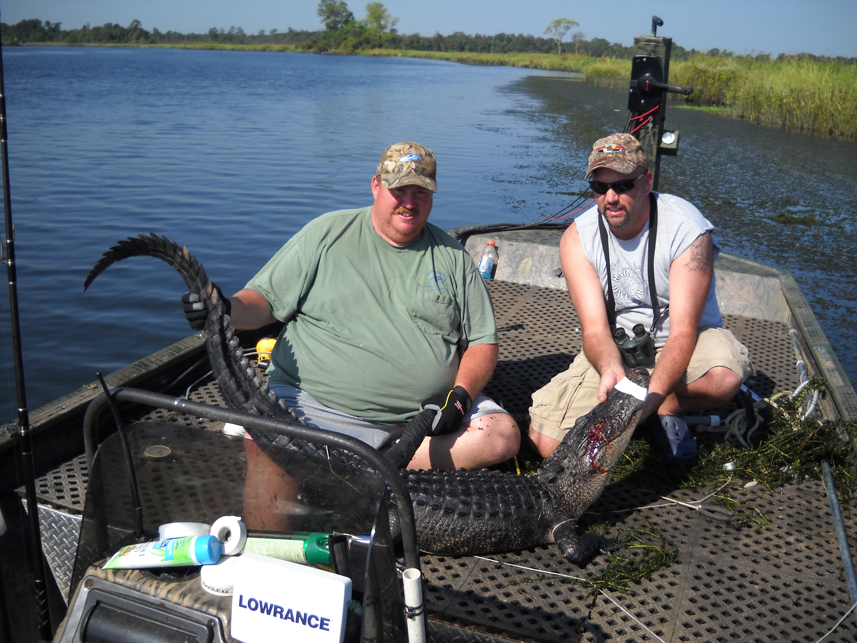 gators2010365.jpg